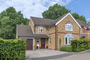 Photo 1- click for photo gallery